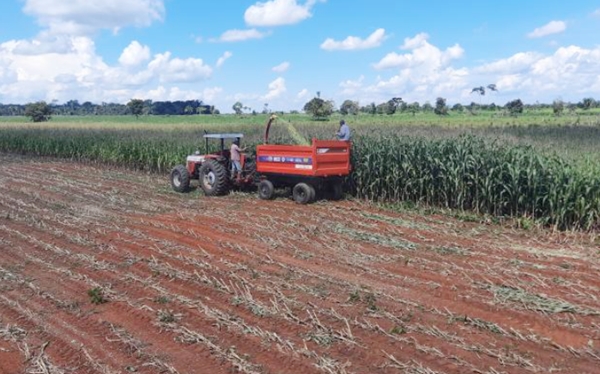 Pequenos produtores de Novo Horizonte do Norte são beneficiados com trabalhos da Secretaria Municipal de Agricultura