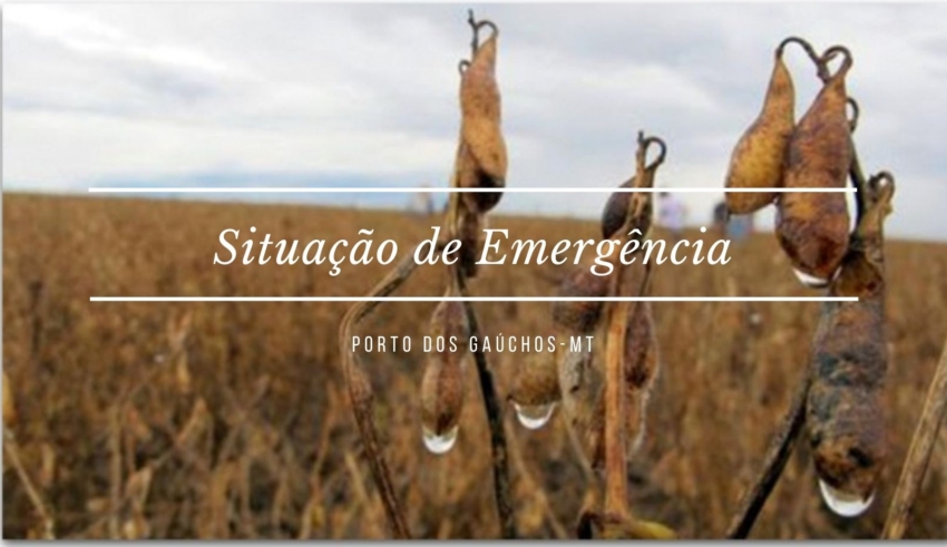 Prefeitura decreta Situação de Emergência em Porto dos Gaúchos após chuvas prejudicarem lavouras e estradas